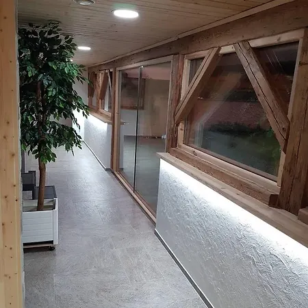 Statek 3 - Wellness & Spa * Hluboka nad Vltavou