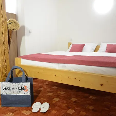Gasthuis Statek 3 - Wellness & Spa 3*