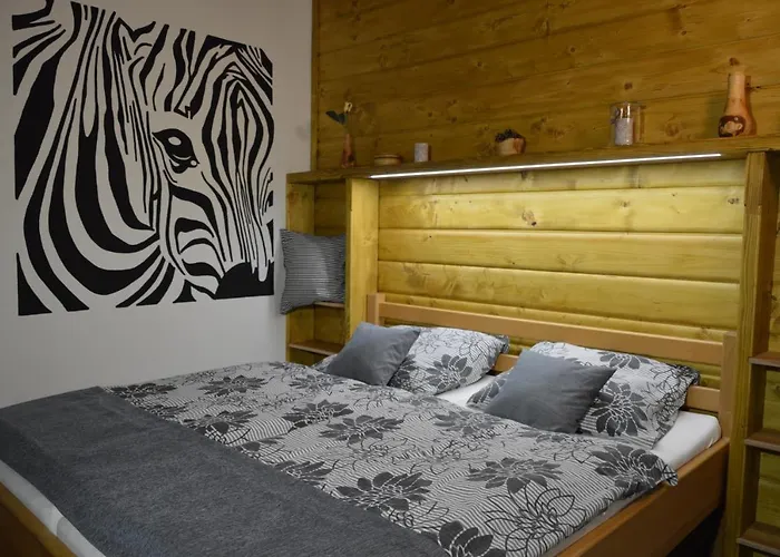 Statek 3 - Wellness & Spa 3* Hluboká nad Vltavou