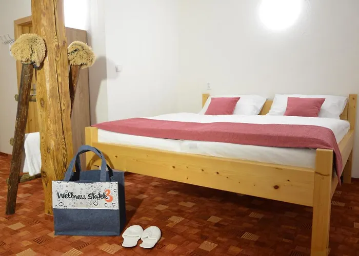 בית הארחה Statek 3 - Wellness & Spa 3*